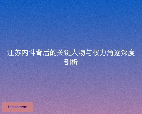江苏内斗背后的关键人物与权力角逐深度剖析