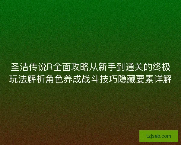 圣洁传说R全面攻略从新手到通关的终极玩法解析角色养成战斗技巧隐藏要素详解 圣洁传说R全面攻略从新手到通关的终极玩法解析角色养成战斗技巧隐藏要素详解