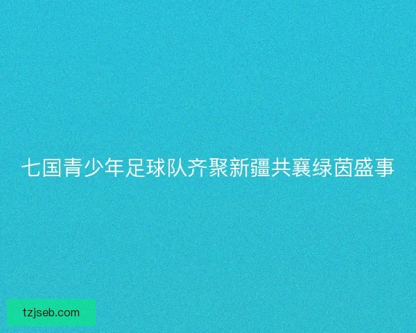 七国青少年足球队齐聚新疆共襄绿茵盛事