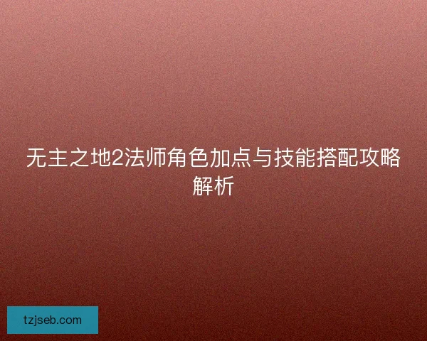 无主之地2法师角色加点与技能搭配攻略解析 无主之地2法师角色加点与技能搭配攻略解析