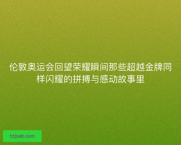 伦敦奥运会回望荣耀瞬间那些超越金牌同样闪耀的拼搏与感动故事里
